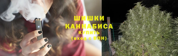 соль ск Нея