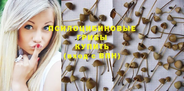 MDMA Нефтекумск
