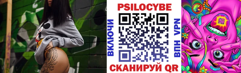 ссылка на мегу   Великие Луки  Псилоцибиновые грибы Psilocybe 