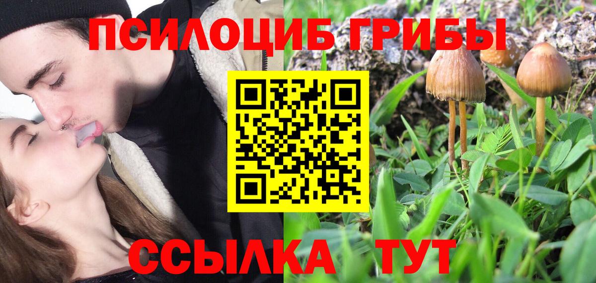 Галлюциногенные грибы Magic Shrooms Великие Луки