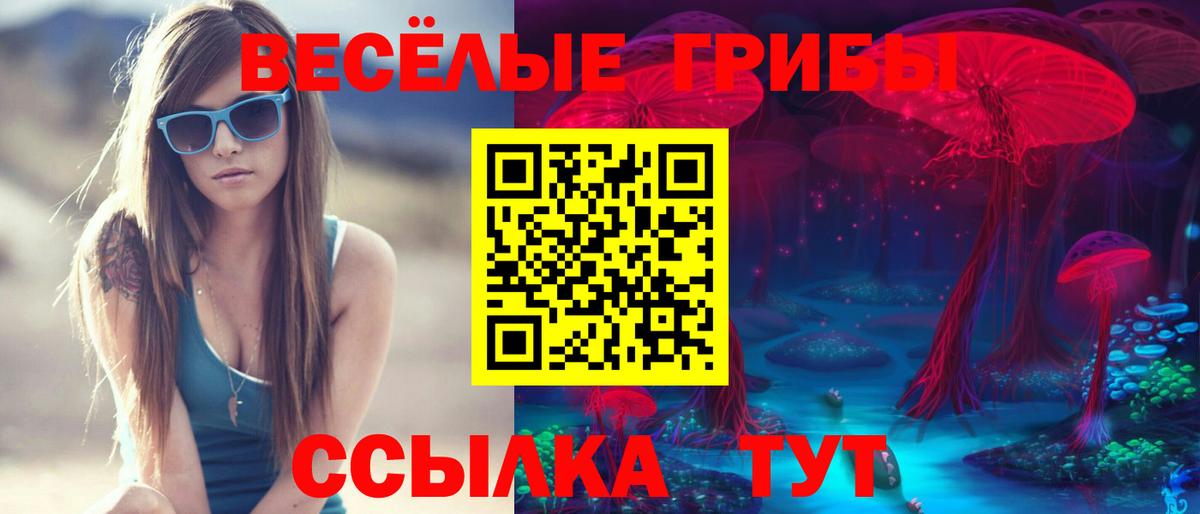 Галлюциногенные грибы ЛСД Великие Луки